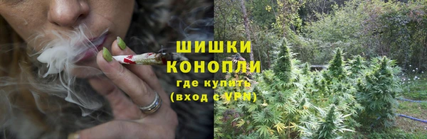 apvp Корсаков