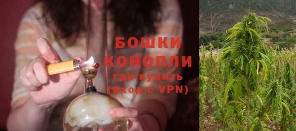 мдпв Козловка