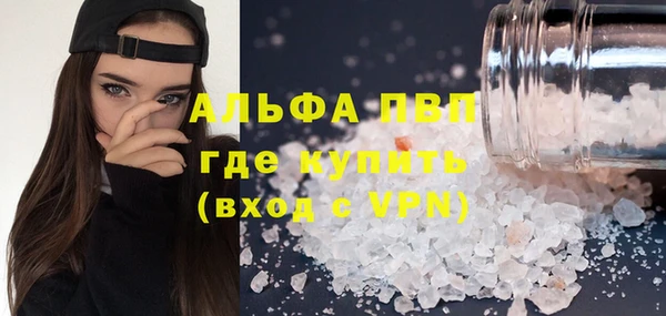амф Карпинск