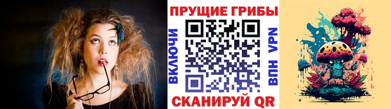 Псилоцибиновые грибы Cubensis  мега ссылки  Сурск 